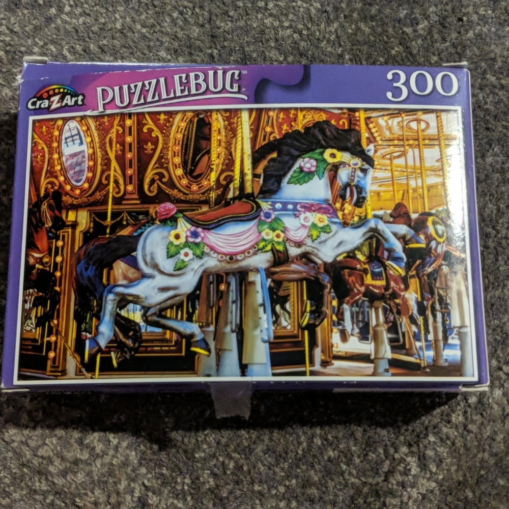 300- 1,000 piece puzzle - Picture 1 of 2